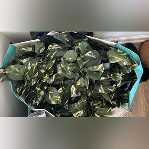 BRAND NEW 6ft Garland Lot (9 total)